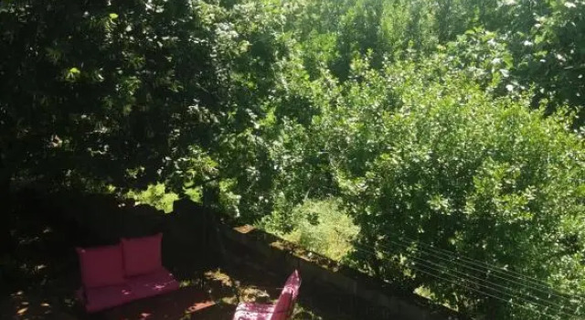 Abeille Lulu, Rezervați Hotel Lauzerte Tarn-et-Garonne
