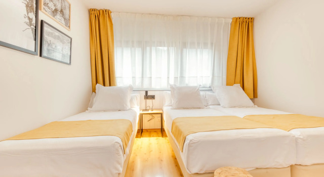Трёхместный номер Hotel Viella