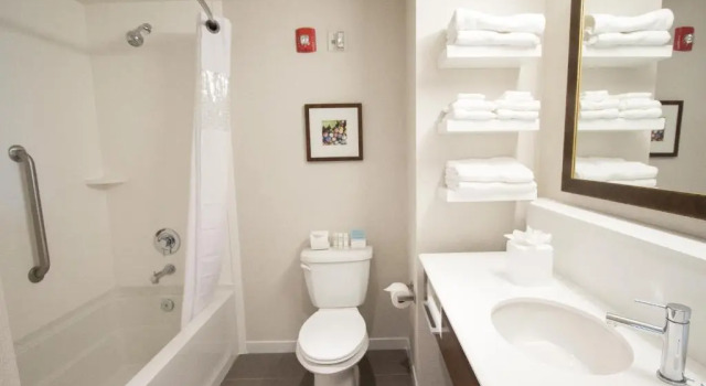 Четырёхместный номер Standard Hampton Inn & Suites Braselton
