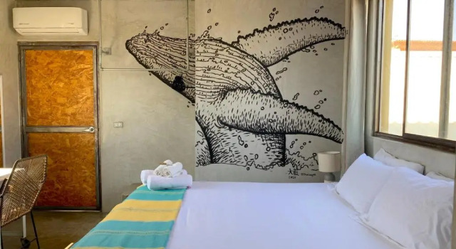 Двухместный номер Standard Outsite Todos Santos - Work, Connect, Explore