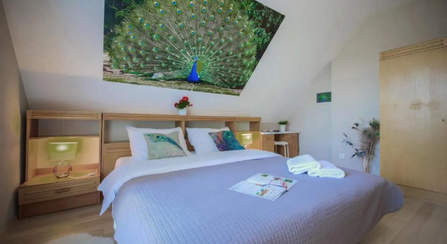 Апартаменты с 3 комнатами Villa Aviator