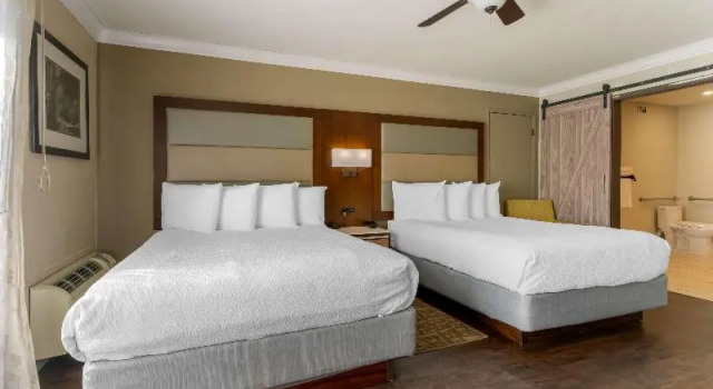 Семейный номер Standard с балконом Best Western Plus Forest Park Inn