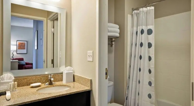 Четырёхместный люкс TownePlace Suites Dallas/Lewisville
