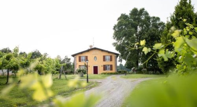 Belvedere