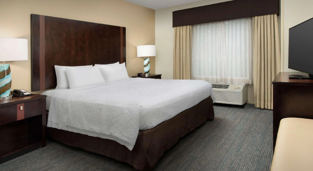Двухместный номер Standard Hampton Inn & Suites Alpharetta-Windward