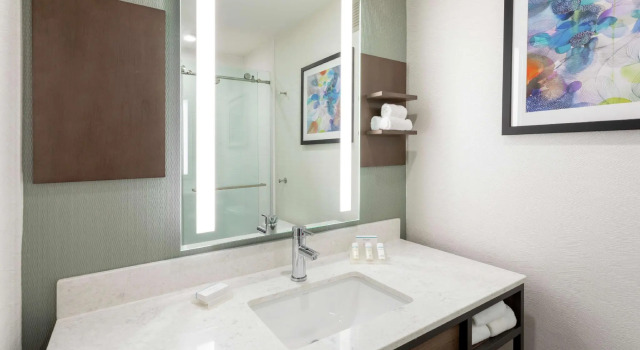 Двухместный номер Standard Hilton Garden Inn Minneapolis/Bloomington