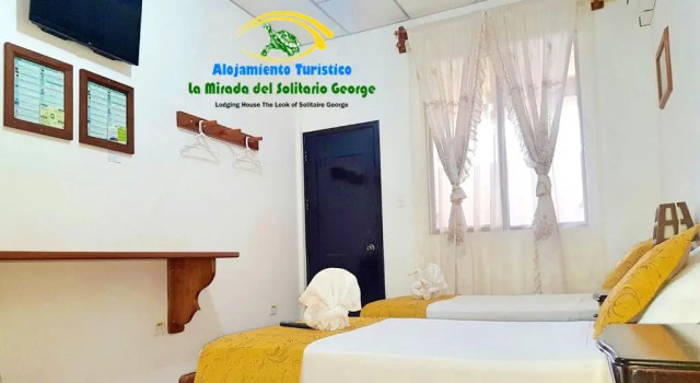 Номер Standard La Mirada De Solitario George