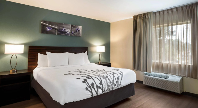 Двухместный люкс Sleep Inn Savannah Midtown