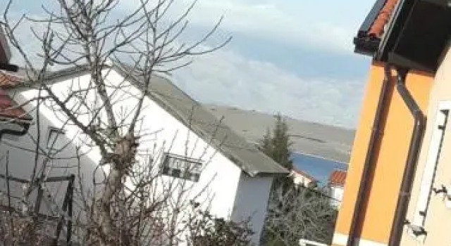 Lucija Vir