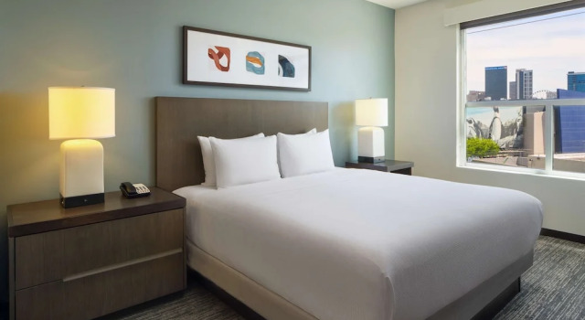 Двухместная студия-люкс Hyatt House Atlanta Downtown