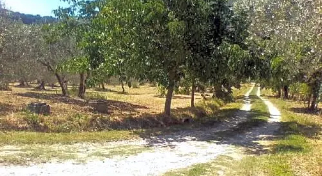 B&B Toffia, Rezervovat Penzión se snídaní Hotely v Toffia s parkováním, Parkování