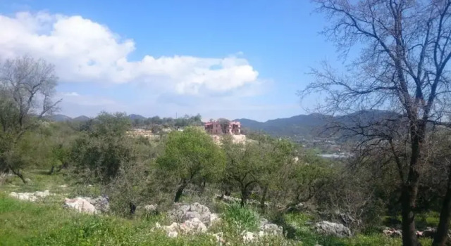 Apollonia Lodge, Забронировать Отель Каш провинция Анталья