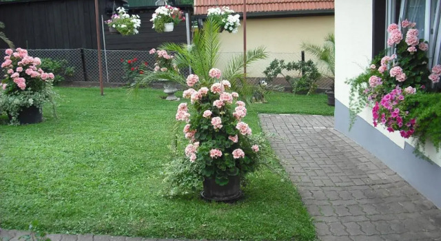 Номер Deluxe Pension Möhring