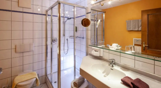 Двухместный номер Standard Hotel Alpenkönig
