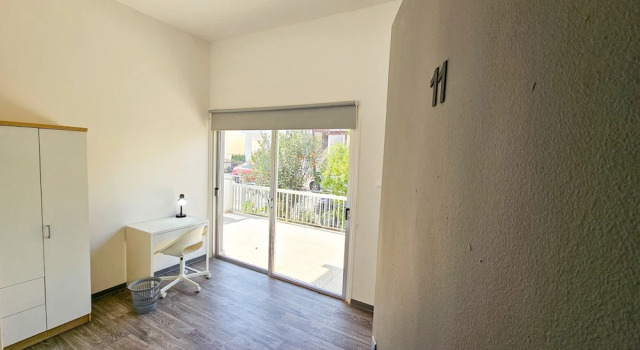 Economy Double room The Lemon Tree Hostel