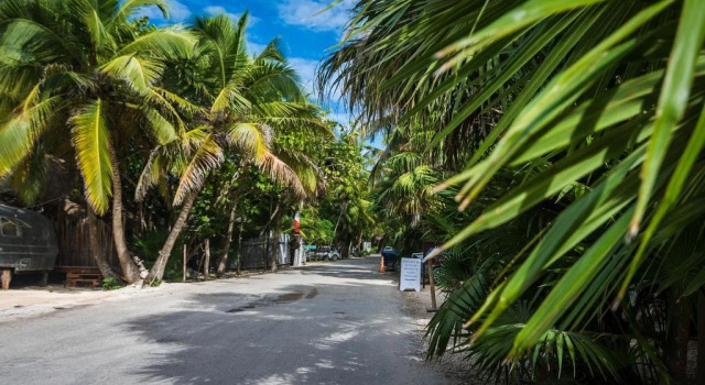 Tulum Aura Beach