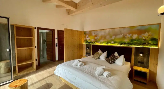 Номер Deluxe Hotel Stella Alpina