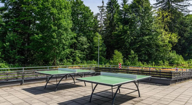 Студия Deluxe Pine Woods Studio D113 in Silver Mountain