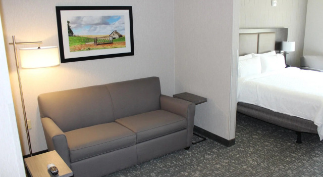 Двухместный люкс Holiday Inn Express & Suites Cheney by IHG