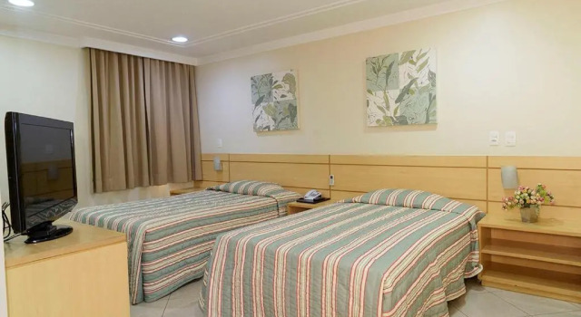 Одноместный номер Standard Hotel Domani
