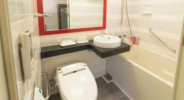 Двухместный номер Standard Sotetsu Fresa Inn Tokyo-Akasaka
