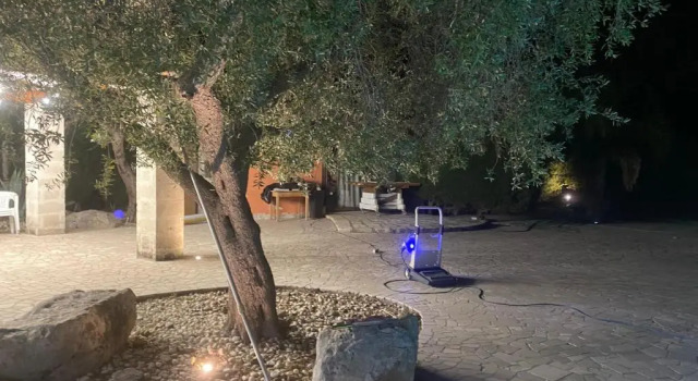 Villa Villa Forester