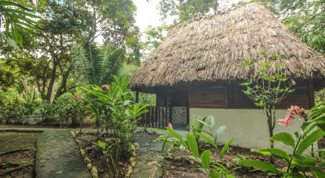Четырёхместный номер Comfort с видом на реку Cohune Palms River Cabanas