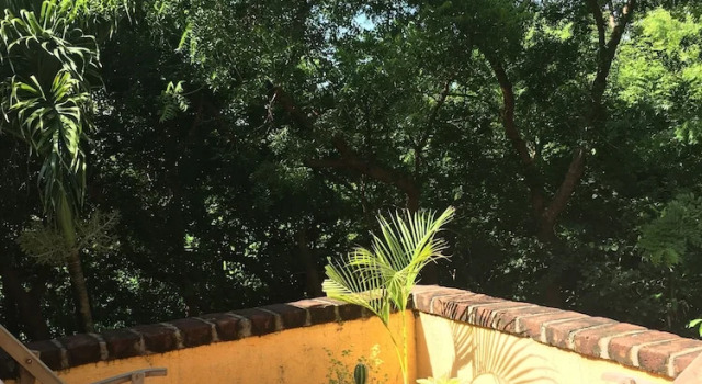 Номер Economy El Jardin