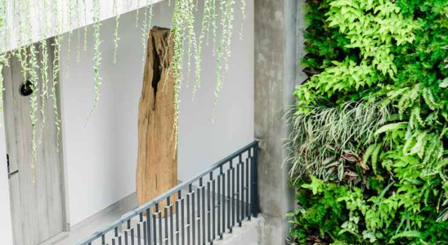 Namu Guesthouse, Rezervovat Hotel Hotely v Malang s parkováním, poblíž Taman Rekreasi Kota, Parkování