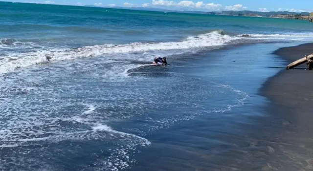 Urenui Beach Bach, Buchen Sie Hotel Urenui Taranaki
