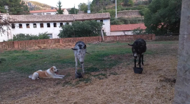 Appartamento Ca la Mati