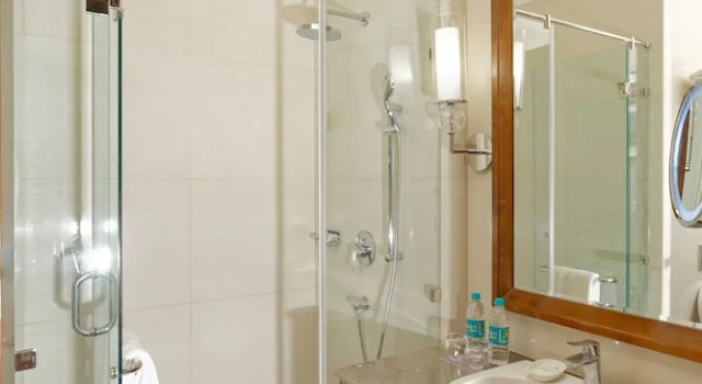Двухместный номер Club Lounge Access Sheraton Grand Palace Indore