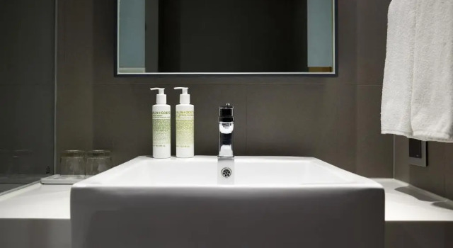 Двухместный номер Superior Namsan Mountain View L7 MYEONGDONG by LOTTE HOTELS