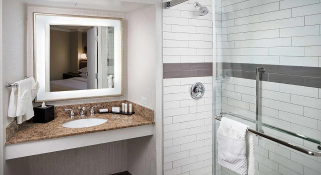 Люкс Embassy Suites Tysons Corner