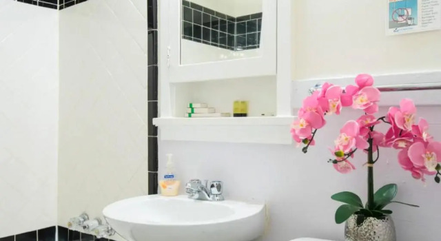 Студия Standard Casa Bonita Apartments