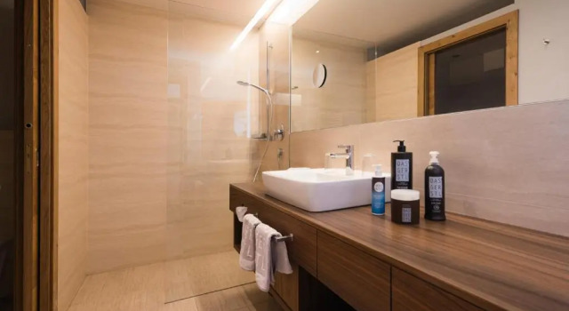 Номер Economy DAS GERSTL Alpine Retreat