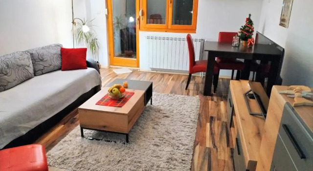 Апартаменты Apartment Viktor