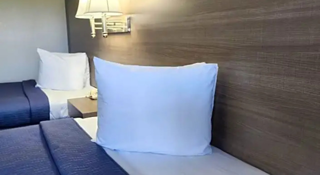 Номер Standard Drakes Creek Inn