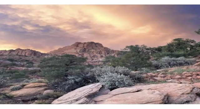Номер Standard Zion Cliff Lodge