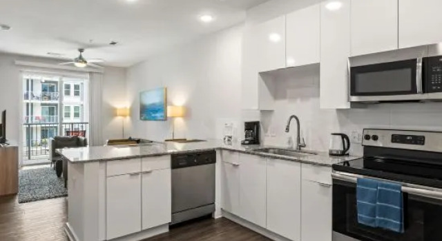 Spectacular Apartments by BCA Furnished Apartments Spec1B 420 C, Забронировать Апартаменты/квартира Апартаменты Атланта, рядом с The Breman Jewish Heritage &amp; Holocaust Museum, Апартаменты/квартира