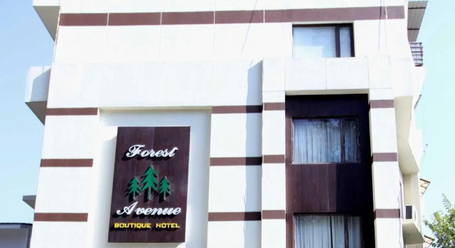 Hotel Forest Avenue, Book Hotel Rājpur Uttarakhand