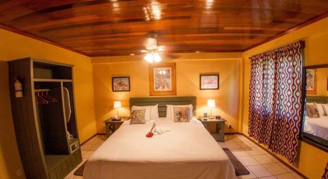 Hummingbird Suites Master King Room 3-3