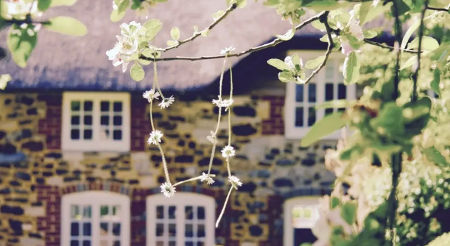 Stunning 3-bed Thatched Cottage in Dorset, Varaa Lomakoti Mökit kohteessa Merseyside, Mökki