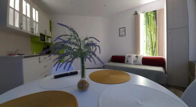 Apartment Accent House