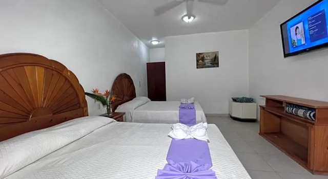 Четырёхместный номер Standard Дуплекс Hotel Quinta de La Rosa