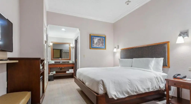 Двухместный номер Wyndham Garden New Orleans Downtown