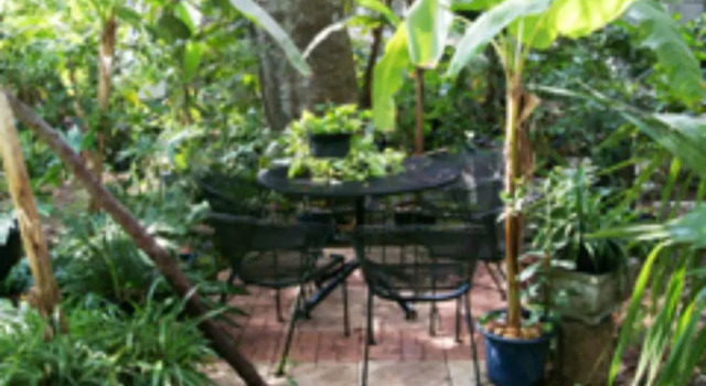 Castle Garden Bed & Breakfast, Забронировать Отель Отели Сент-Огастин с завтраком, рядом с Cathedral Basilica of St. Augustine, Завтраки