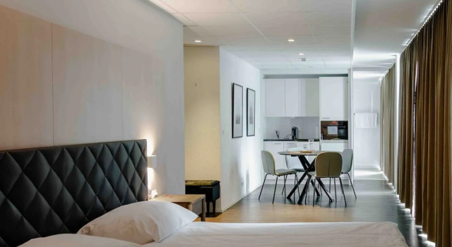 Студия Executive Los Lorentes Apartments Bern Airport