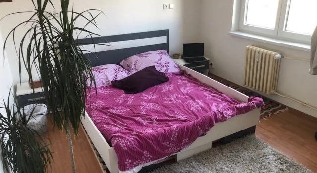 Shared Flat