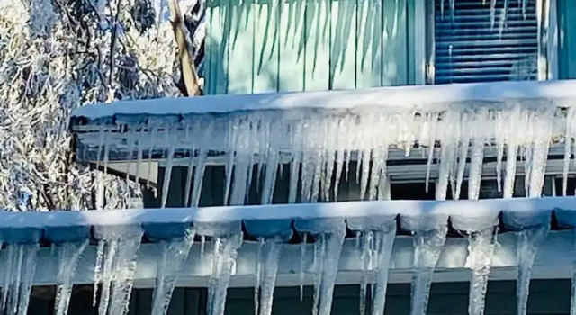 Feathertop Alpine Lodge